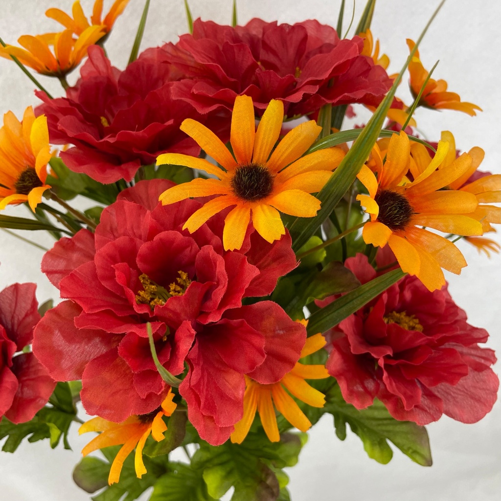 21" ZINNIA/DAISY BUSH X18