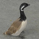 GOOSE 5" CANADIAN FEATHERED