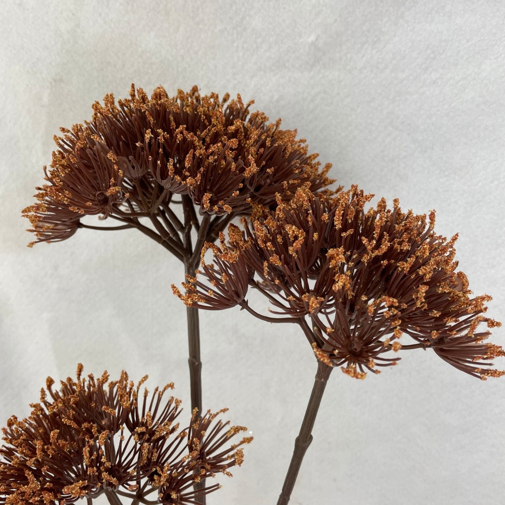 33" DRIED ALLIUM SPRAY X3 BROWN