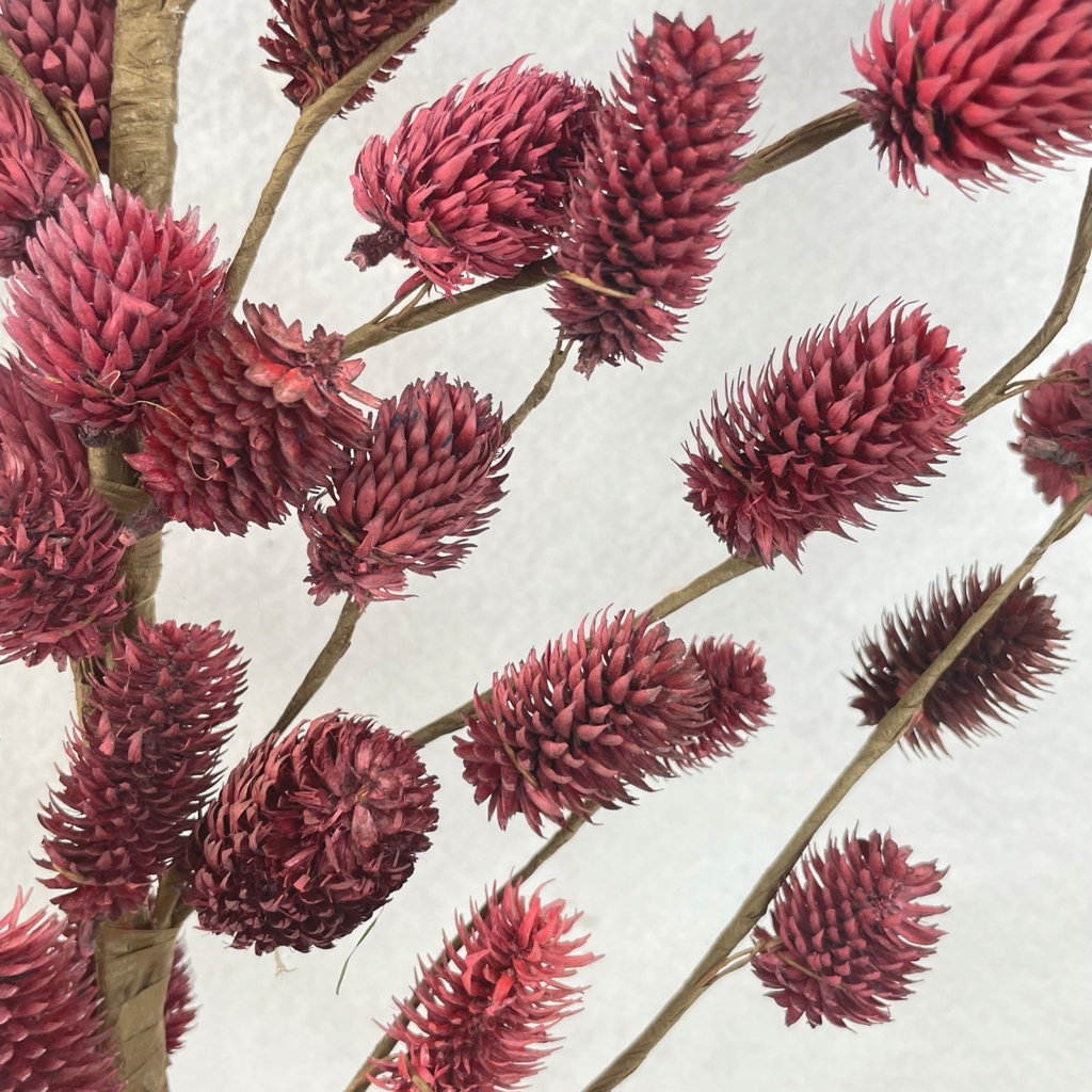 28&quot; TEASEL CONE SPRAY PURPLE