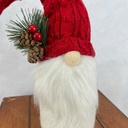 13" GNOME W/ RED HAT