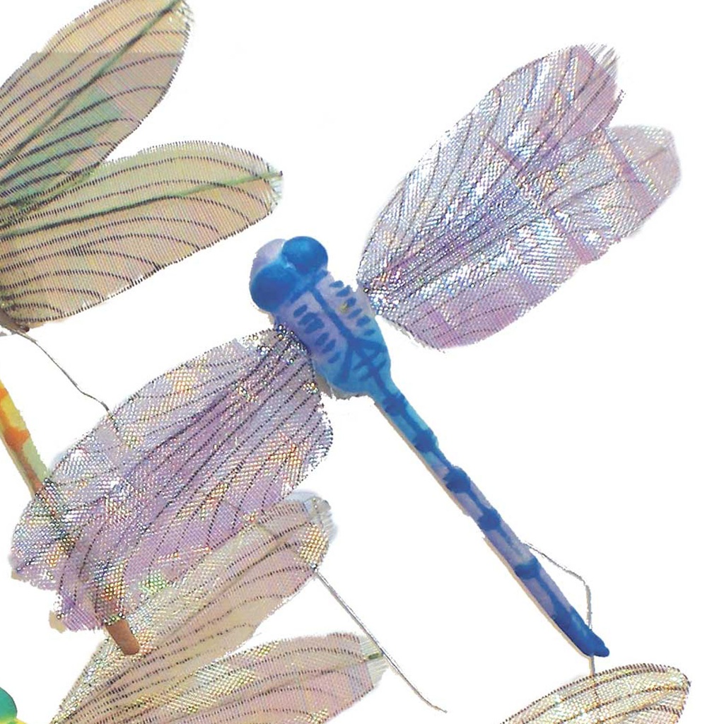 DRAGONFLY 3" x 4"   4-ASST'D W/WIRE