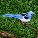 BIRD 3.5" BLUE FEATHER W/WIRE