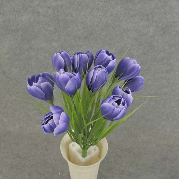 CROCUS BUSH X12  10.5" PURPLE