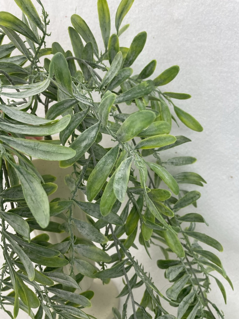 30" DUSTY GREEN OSMUNDA FERN SPRAY 