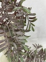 30" DUSTY OSMUNDA FERN SPRAY PURPLE/GREEN