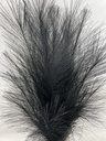 28&quot; FEATHER GRASS BUNDLE X3 BLACK