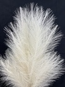 28" FEATHER GRASS BUNDLE X3 CREAM