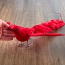 21" FLYING DOVE WITH LONG FEATHER TAIL  RED