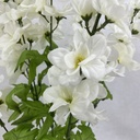 28" DELPHINIUM BUSH X8 CREAM/WHITE