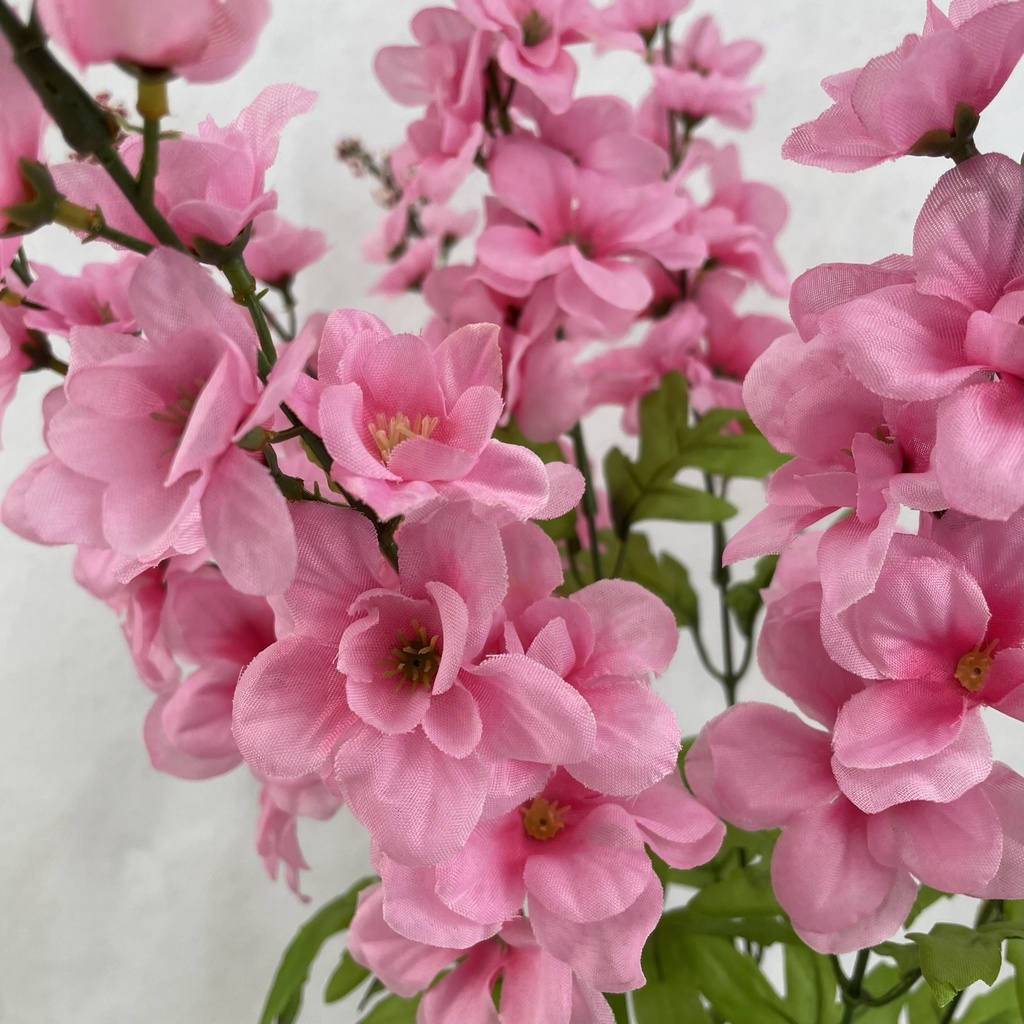 28" DELPHINIUM BUSH X8 PINK