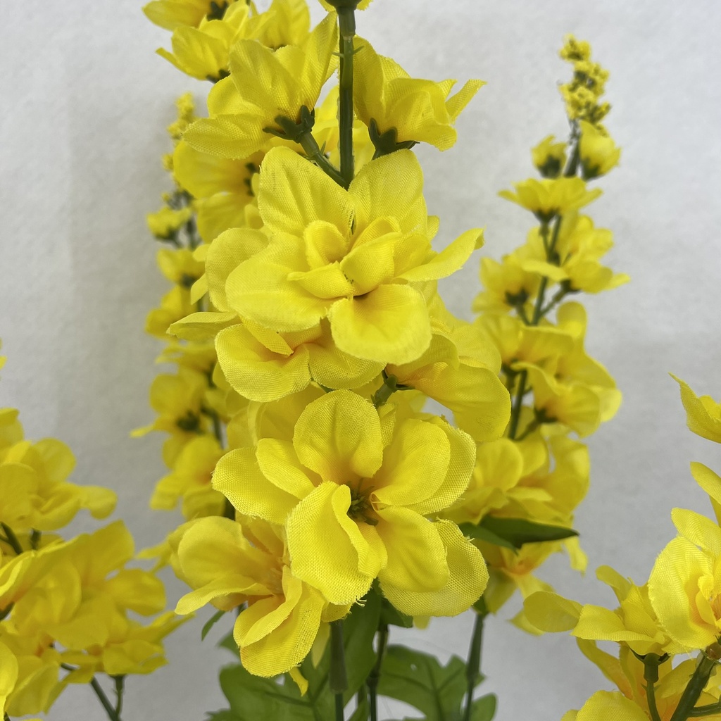 28" DELPHINIUM BUSH X8 YELLOW 