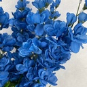 DELPHINUM BUSH X9 25"  DARK BLUE