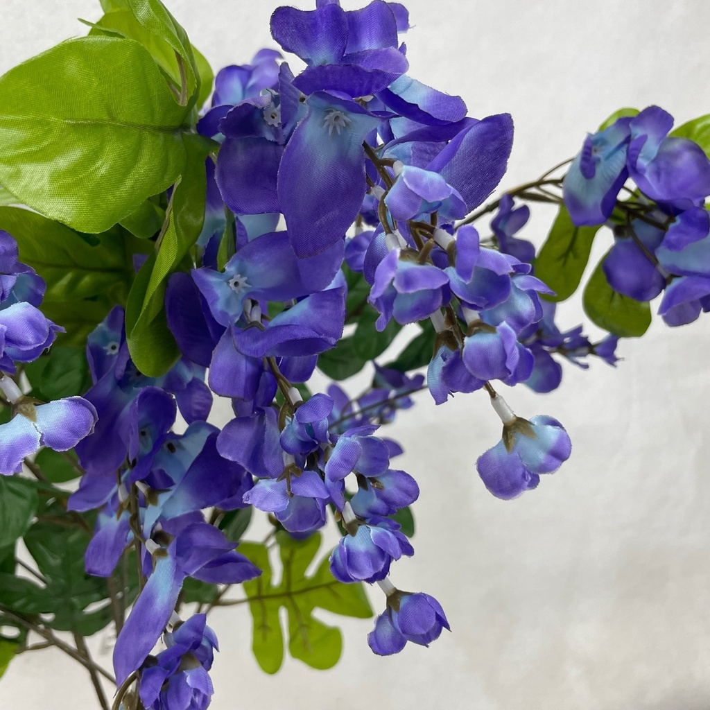 WISTERIA BUSH X3(X15) 31" PURPLE