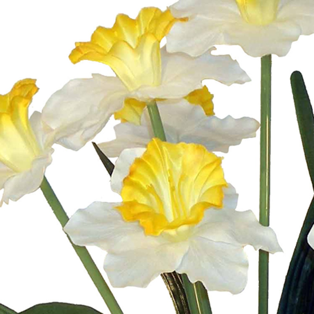 DAFFODIL BUSH X8 19.5" WHITE W/YELLOW CUP