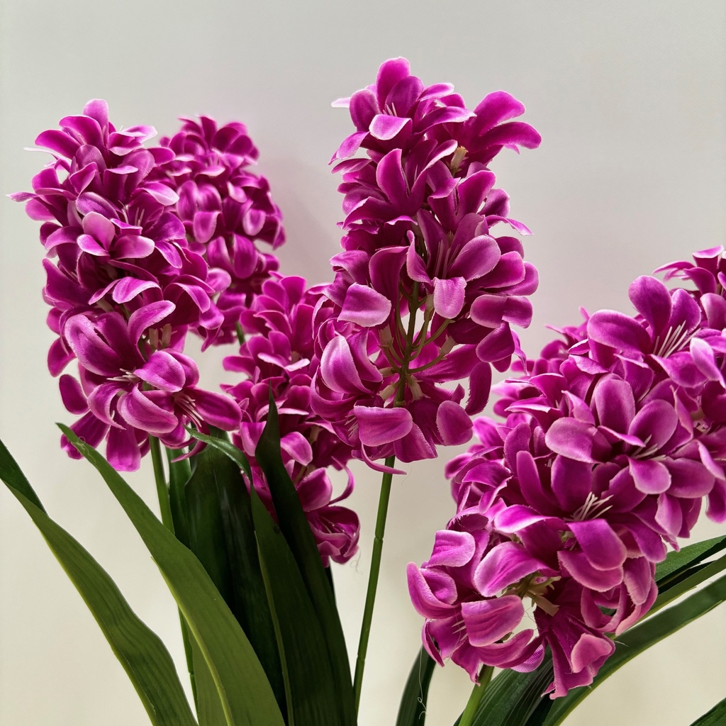 25" HYACINTH BUSH X7 PURPLE(FUSCHIA)