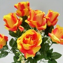 ROSE OPEN SATIN BUSH X12  YELLOW/ORANGE