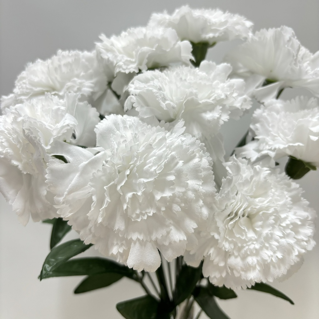 17" CARNATION BUSH X12 WHITE (REAL CUT)
