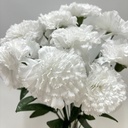 17" CARNATION BUSH X12 WHITE (REAL CUT)
