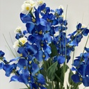 21" BLUE BONNET BUSH X12
