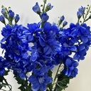 24" DELPHINIUM BUSH X6 DARK BLUE
