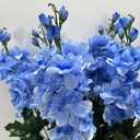 24" DELPHINIUM BUSH X6 LIGHT BLUE
