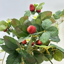 17" HANGING STRAWBERRY BUSH x7