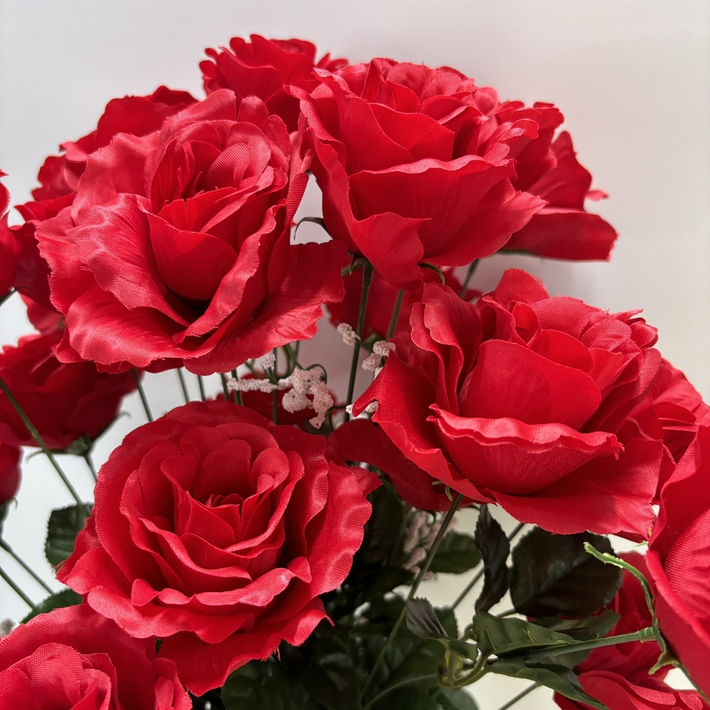 25" ROSE BUSH W/GYP X24 RED
