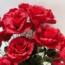 25" ROSE BUSH W/GYP X24 RED