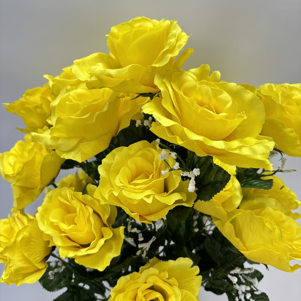 25" ROSE BUSH W/GYP X24 YELLOW