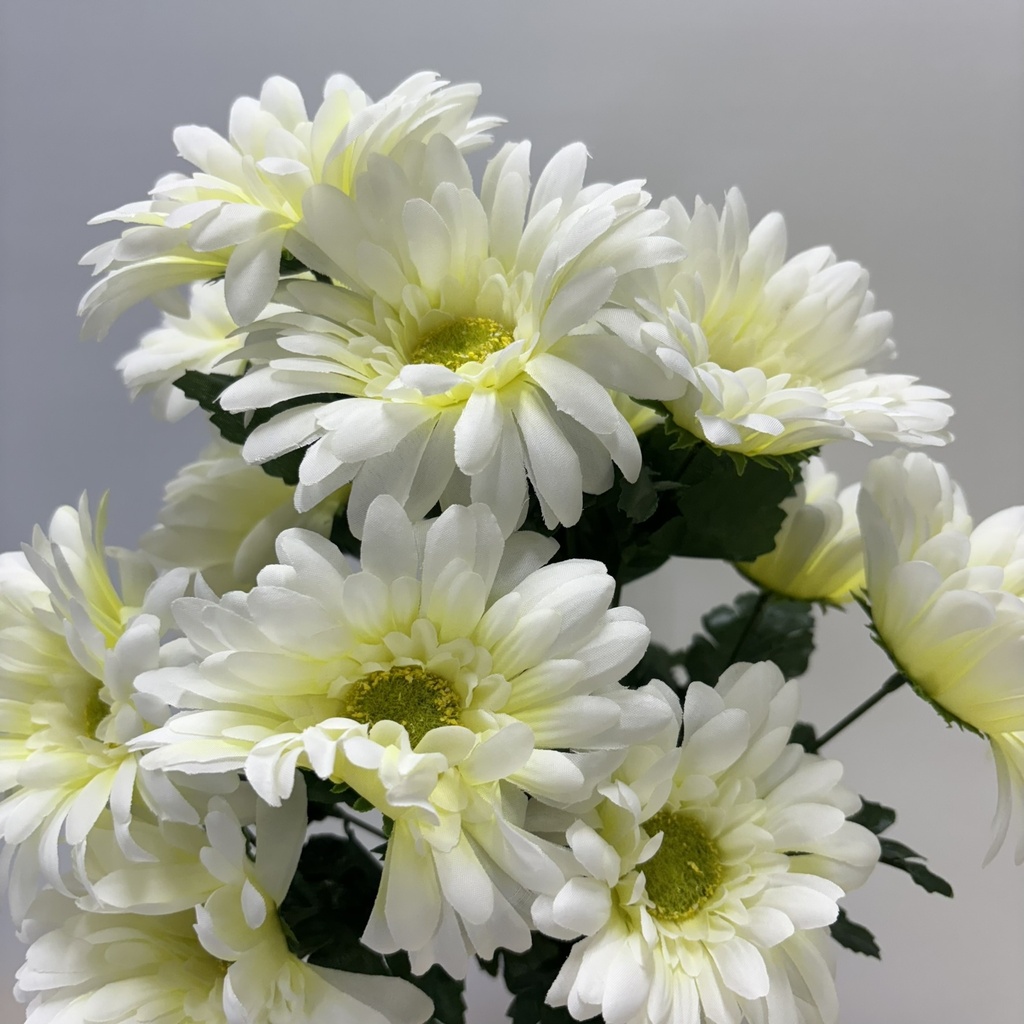 17" GERBERA DAISY BUSH X14 CREAM/WHITE