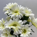 17" GERBERA DAISY BUSH X14 CREAM/WHITE