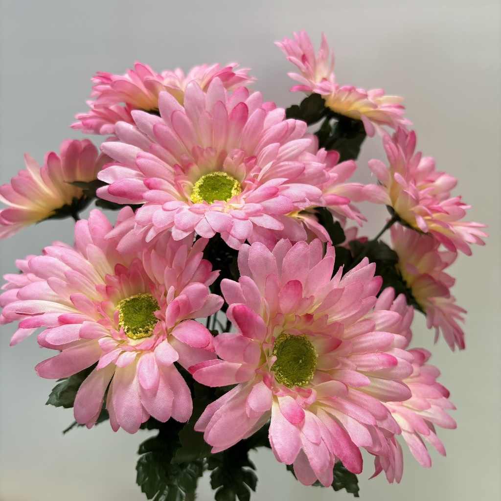 17" GERBERA DAISY BUSH X14 PINK