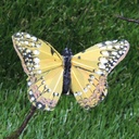 BUTTERFLY 4" 6-ASST'D  W/WIRE