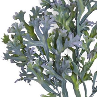 31" STAGHORN FERN SPRAY 