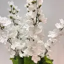 SB5078-WHT_2.webp