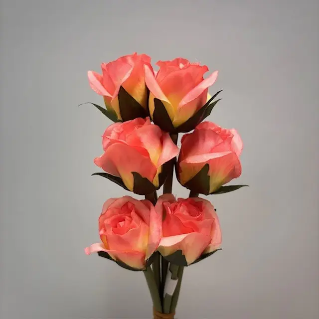 SE1096-COR_2.webp