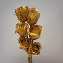 SE1096-GLD_2.webp