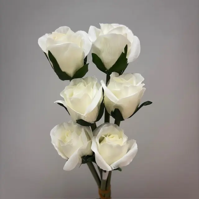 SE1096-WHT_2.webp