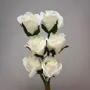 SE1096-WHT_2.webp