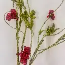 X8002-RGN_1.webp