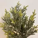 XE9006_2.webp