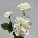 SE386_1.webp