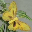 BUTTERFLY 3.5&quot; 6-ASST'D W/GLIT W/CLIP
