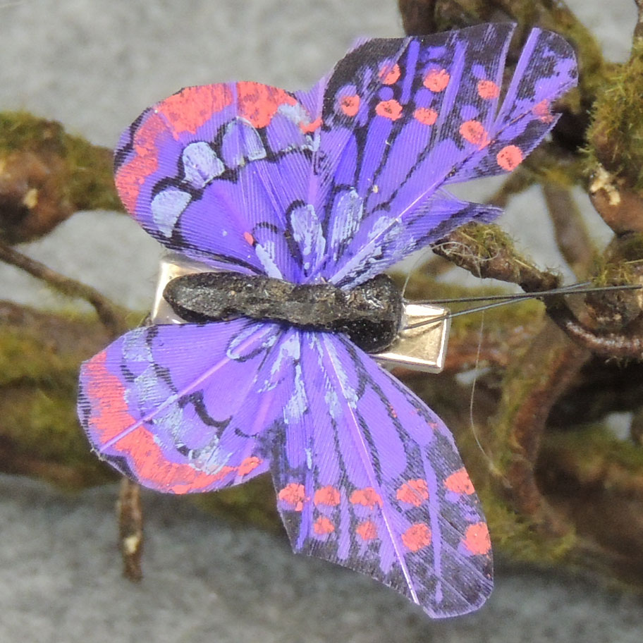 BUTTERFLY 2.5" 6-ASST'D  W/CLIP