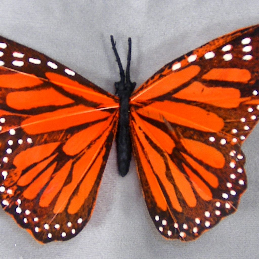 BUTTERFLY 4.5" ORANGE MONARCH W/WIRE