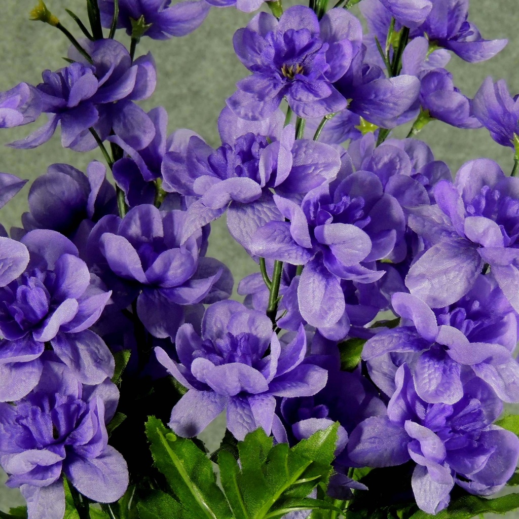 DELPHINIUM BUSH X5 23"  PURPLE