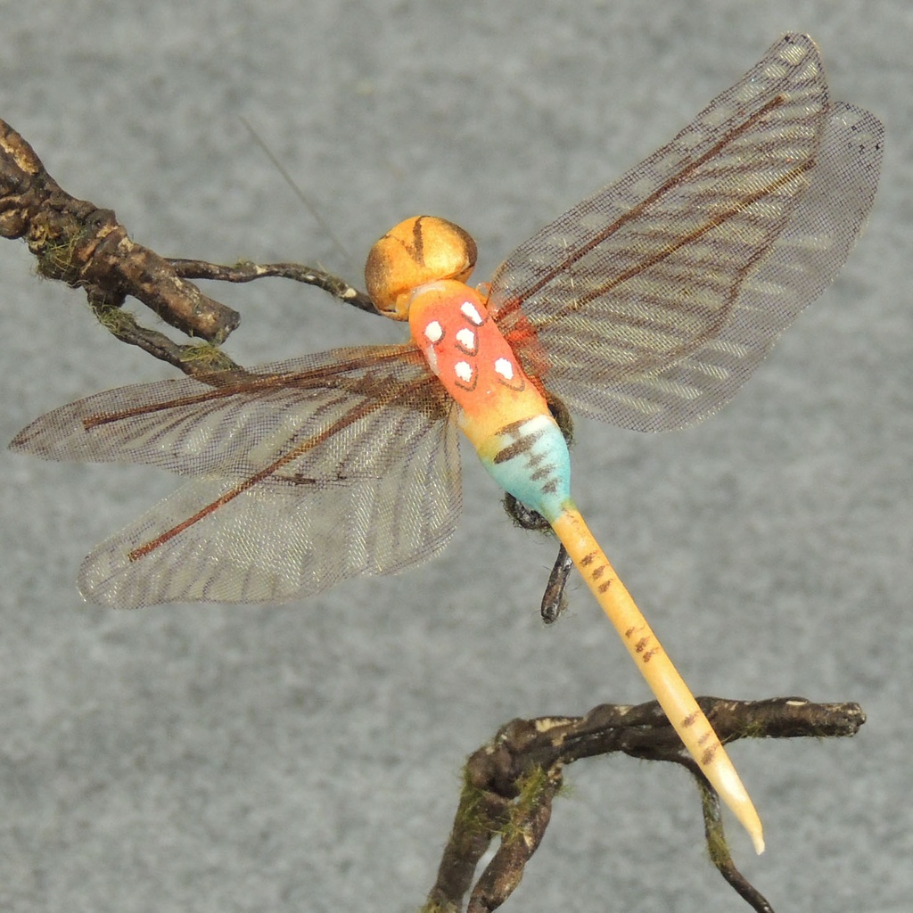 DRAGONFLY W/WIRE 3.25" X 4.25" 6-ASST