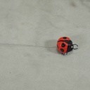 LADYBUG 1" RED W/WIRE