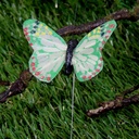 BUTTERFLY 2.5" 6 ASST'D W/WIRE  MEDIUYM